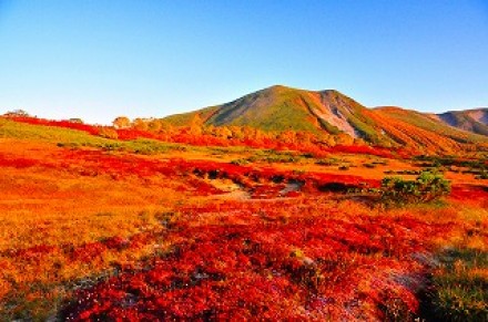 紅葉の季節 アパマンプラザ営業日記