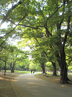 円山公園